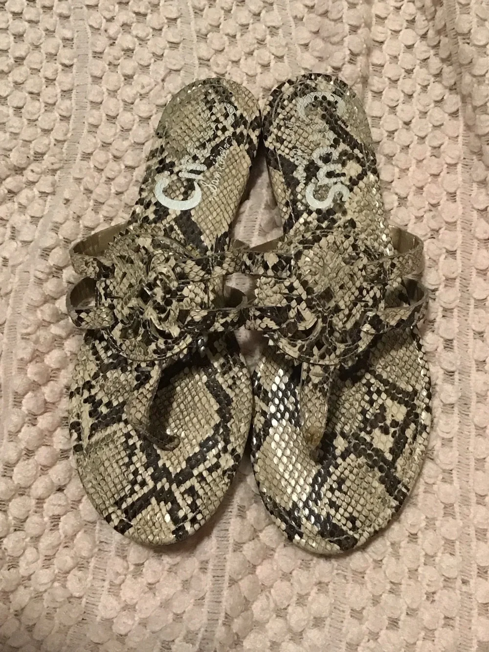 Circus by Sam Edelman Snake-Print Thong Sandals in Tan and Black